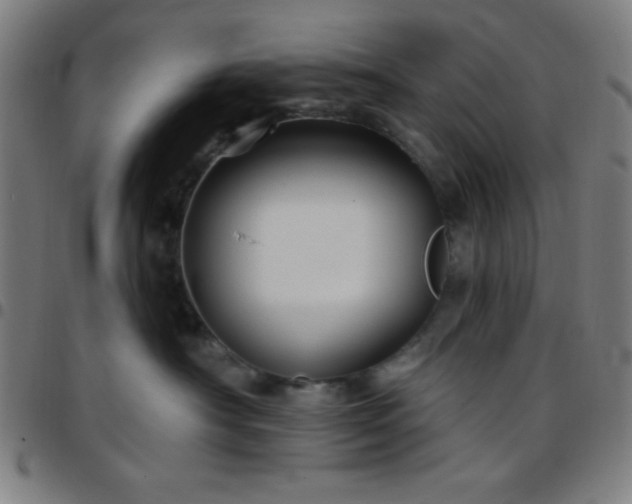 X0000097650430200803071514