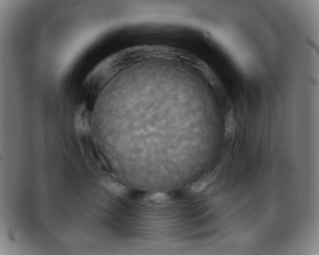 X0000097650431200803071513