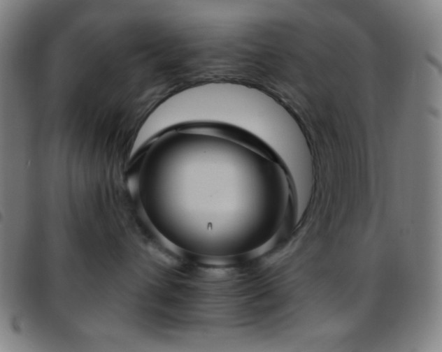 X0000097650432200803071513