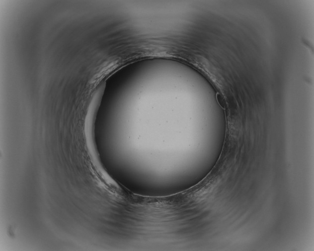 X0000097650433200803071513