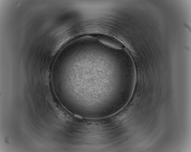 X0000097650434200803071513