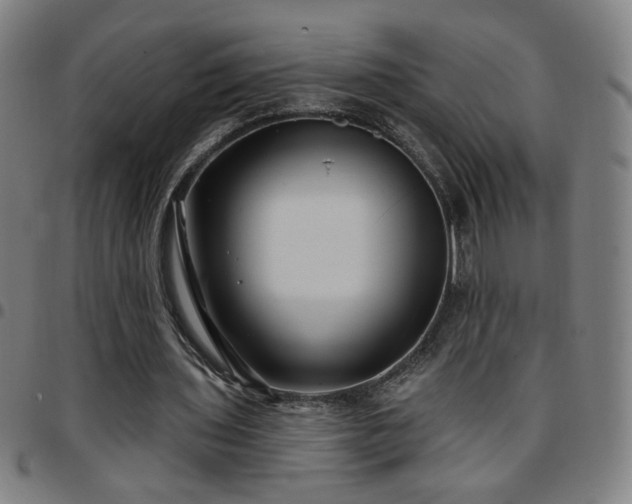 X0000097650435200803071513