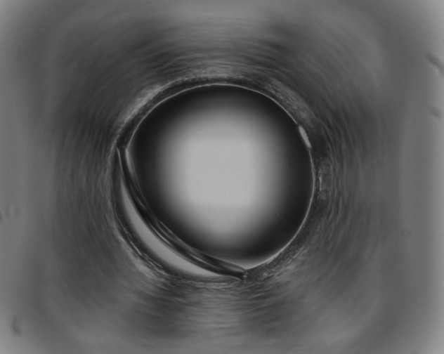 X0000097650436200803071513