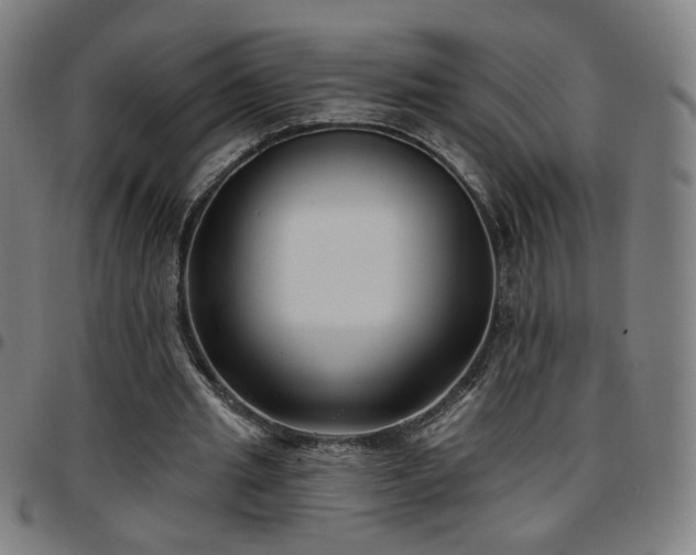 X0000097650437200803071513