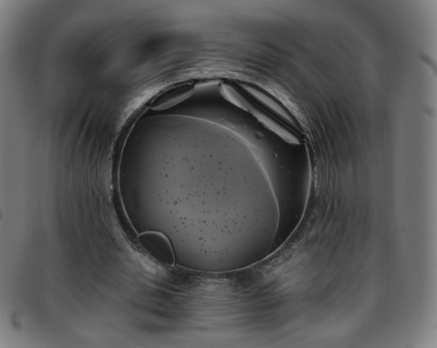 X0000097650438200803071513