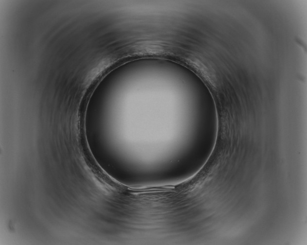 X0000097650439200803071513