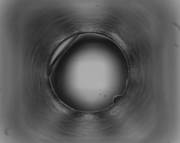 X0000097650441200803071513