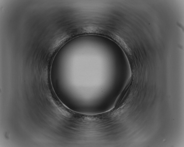 X0000097650442200803071513