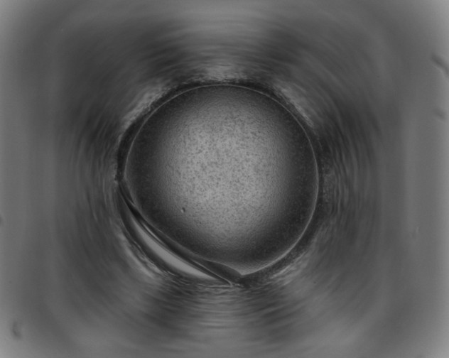 X0000097650443200803071513