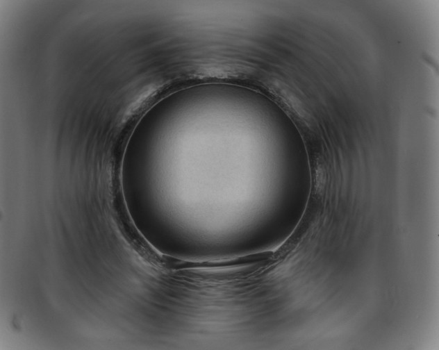 X0000097650444200803071513