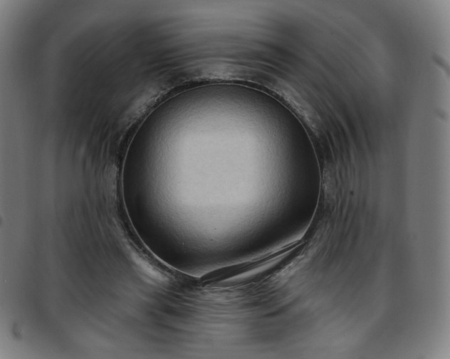 X0000097650445200803071513