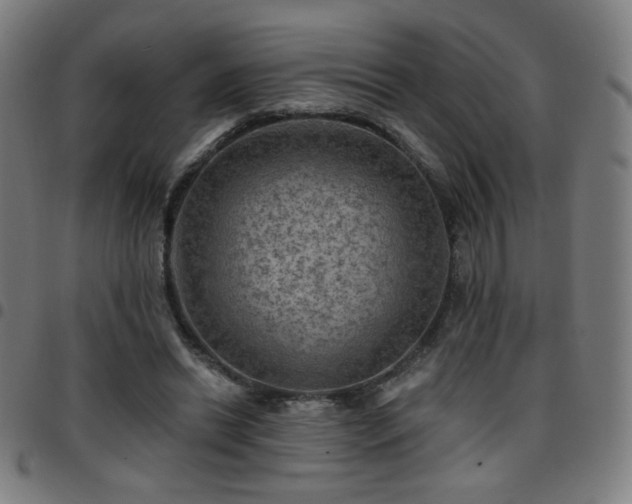 X0000097650446200803071513