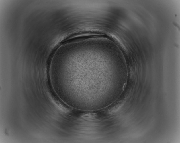 X0000097650447200803071513