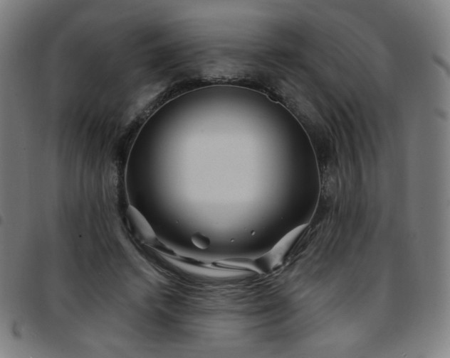 X0000097650448200803071513