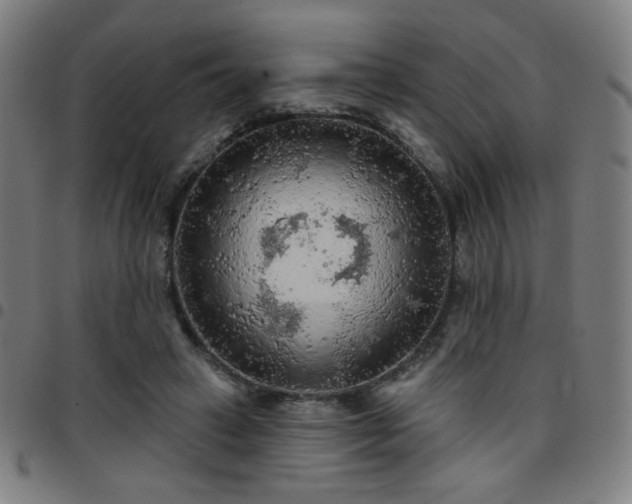 X0000097650449200803071513