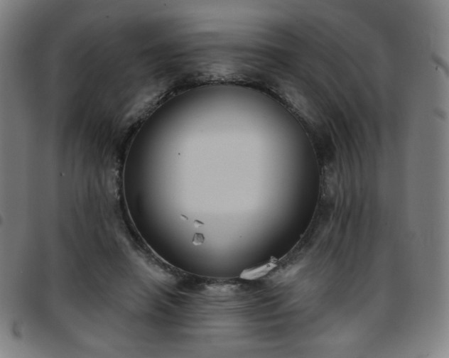 X0000097650450200803071513