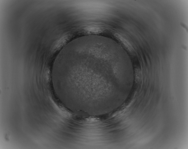 X0000097650451200803071513