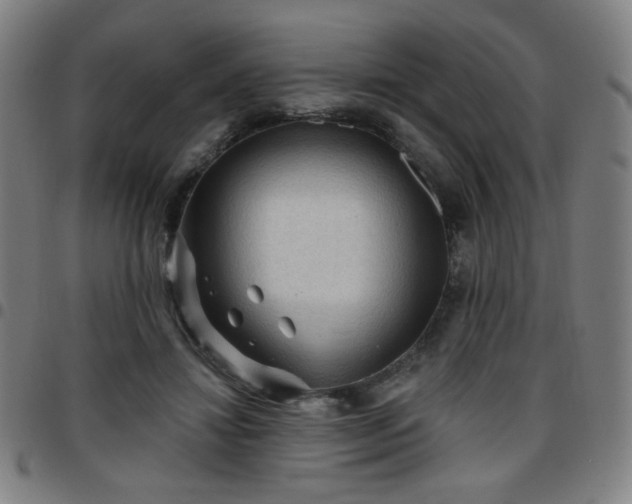 X0000097650452200803071513