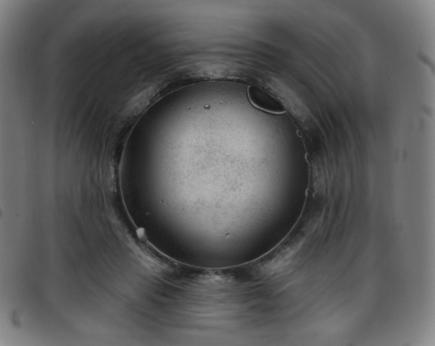 X0000097650453200803071513