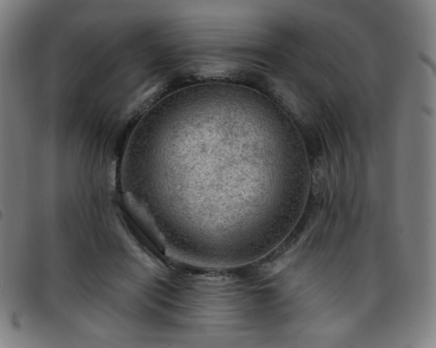 X0000097650454200803071513