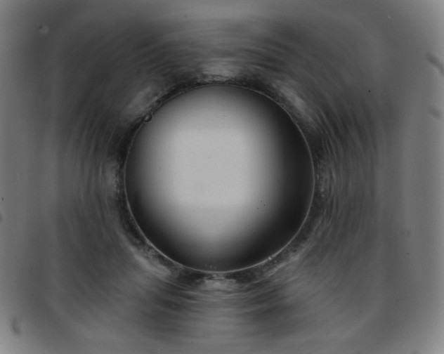 X0000097650455200803071513