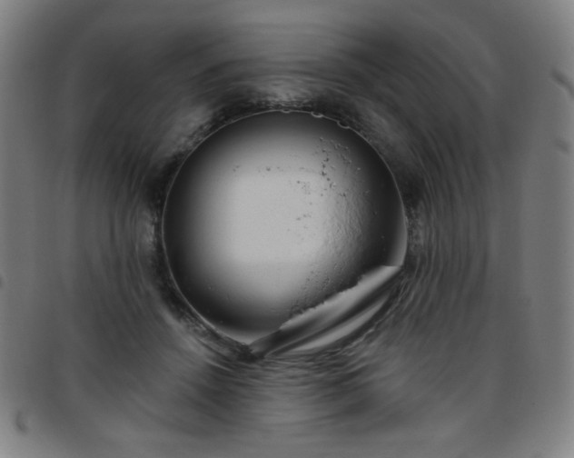 X0000097650456200803071513