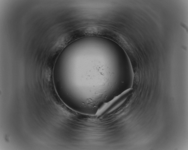 X0000097650458200803071513