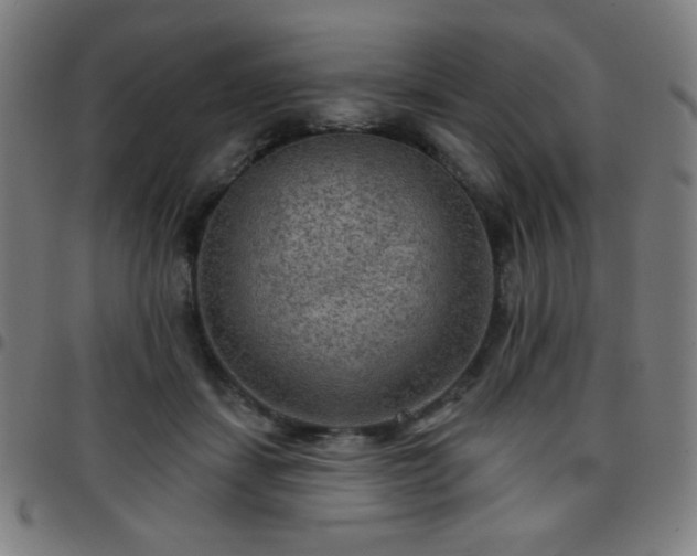 X0000097650459200803071513