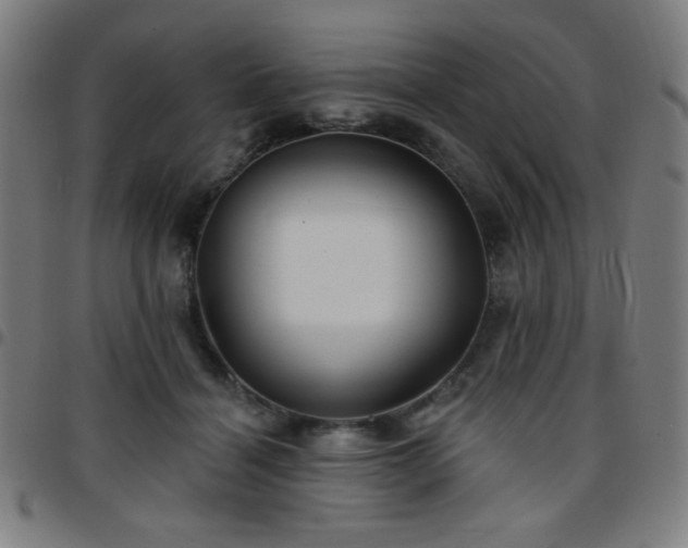 X0000097650460200803071513