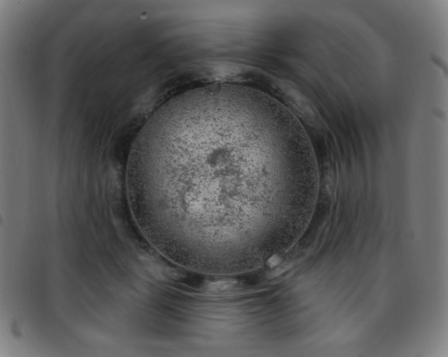 X0000097650461200803071513