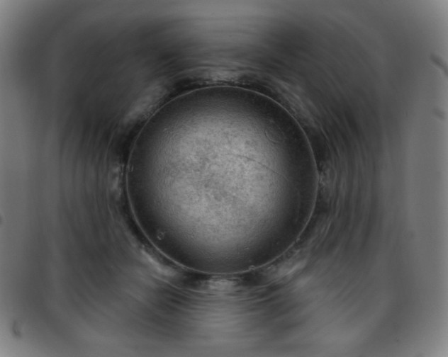 X0000097650462200803071513