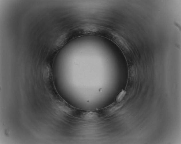 X0000097650463200803071513