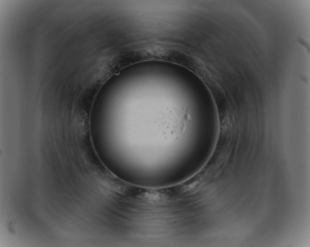 X0000097650464200803071513