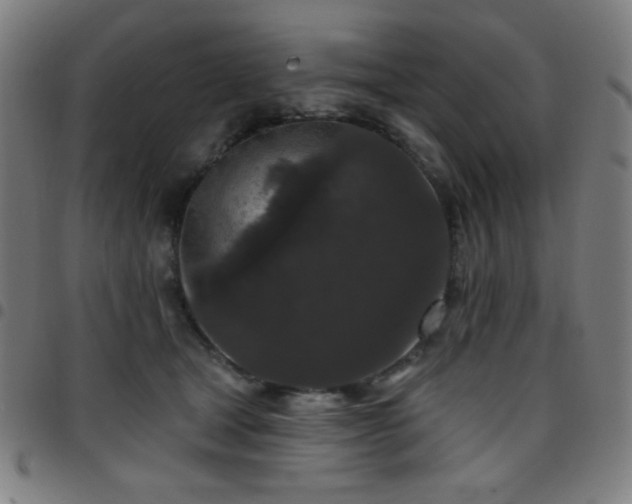 X0000097650465200803071513