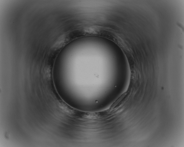 X0000097650466200803071513