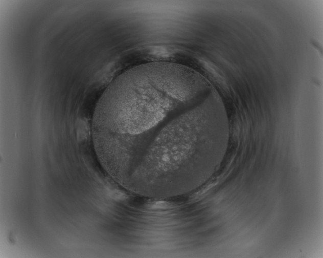 X0000097650467200803071513