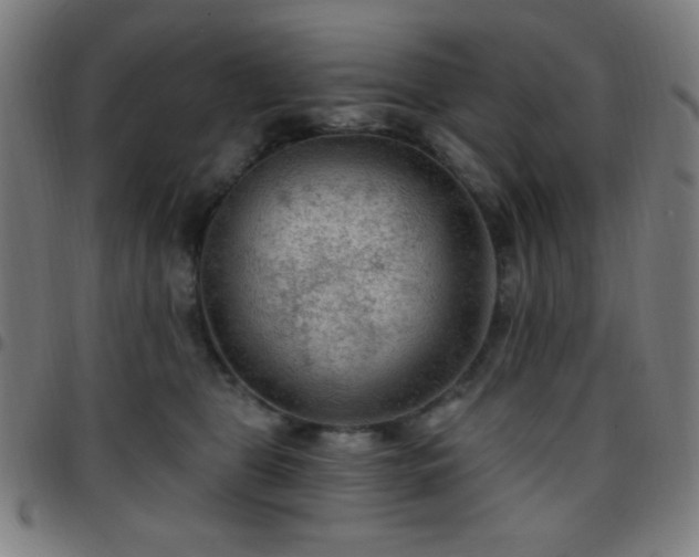 X0000097650469200803071513