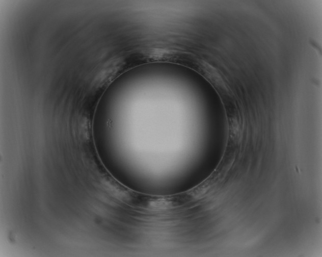 X0000097650470200803071513