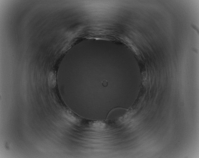 X0000097650471200803071513