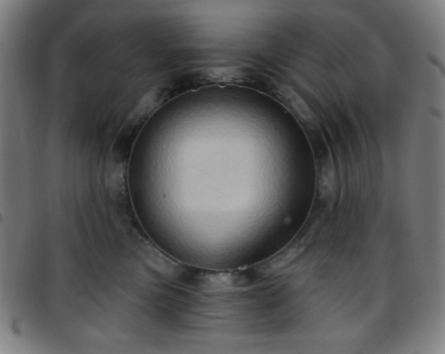 X0000097650473200803071513