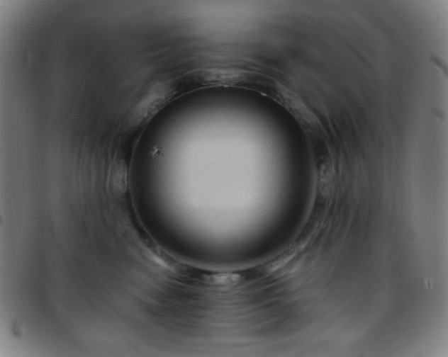 X0000097650474200803071513