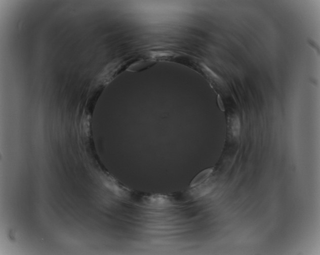 X0000097650475200803071513