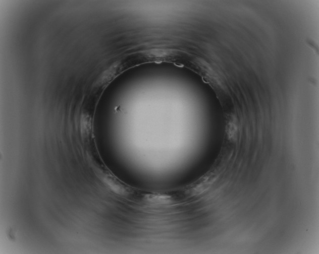 X0000097650476200803071513