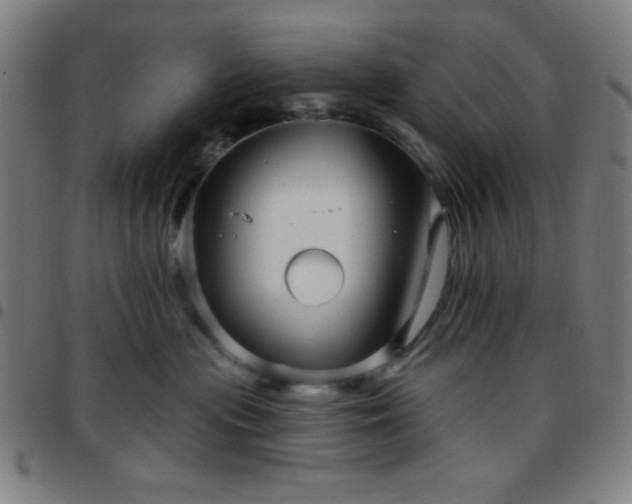 X0000097650477200803071513