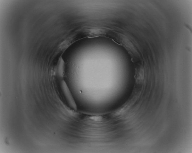 X0000097650478200803071513