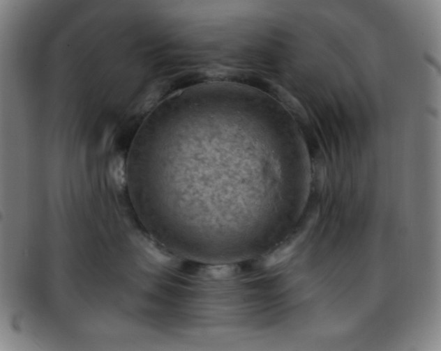 X0000097650479200803071513