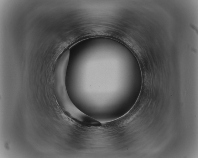 X0000097650481200803071513