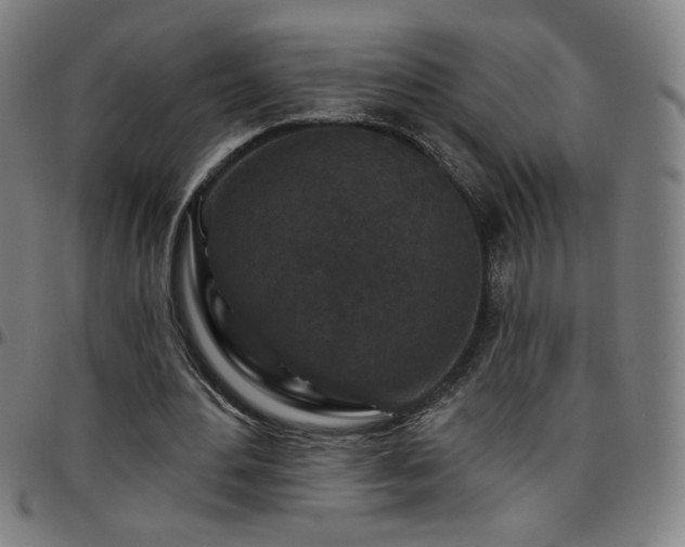 X0000097650484200803071513