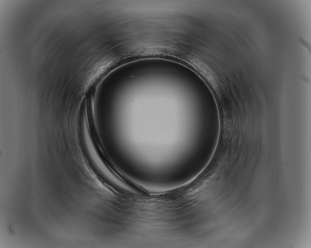 X0000097650485200803071513