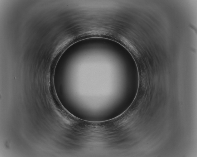 X0000097650486200803071513